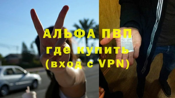 СК Богородицк